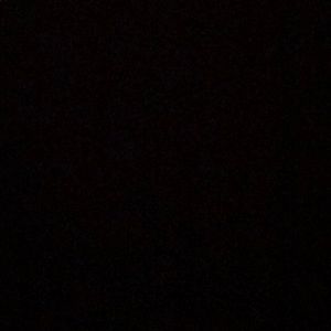 Meet your Posher, Autumn